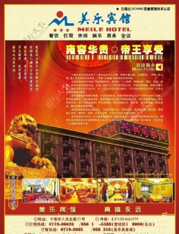 宣传单酒店狮子花纹背景灯光房地产图片