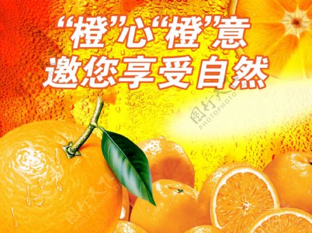 超市橙子宣传创意展板图片