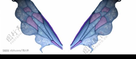 翅膀蝴蝶蝴蝶翅膀合成素材图片