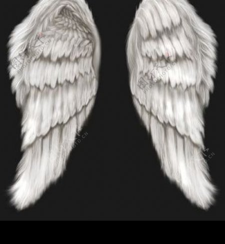 天使之翼超清晰图片