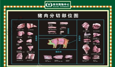 猪肉分割图片
