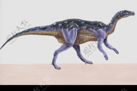 白垩纪恐龙0084