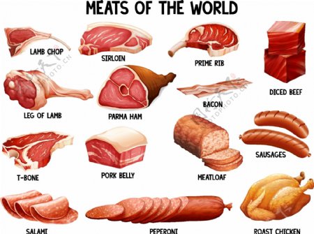 世界上不同种类的肉类