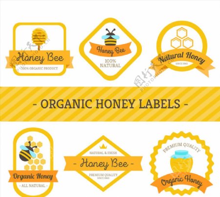 6款创意有机蜂蜜标签矢量素材