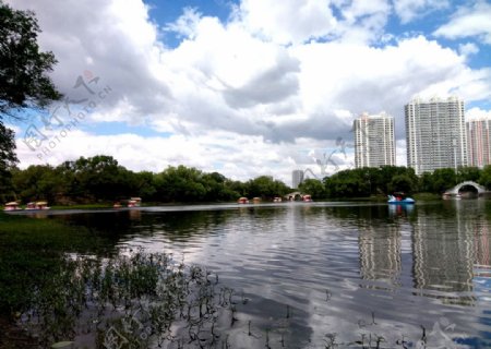 龙沙公园湖水