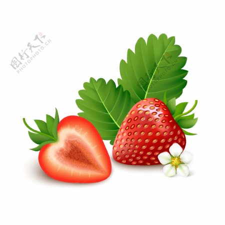矢量草莓水果