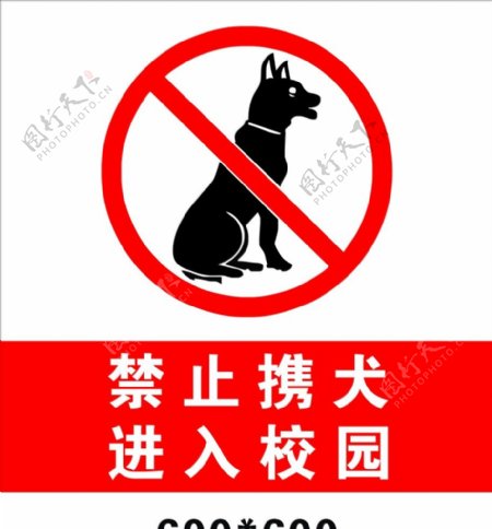 禁止携犬进入校园