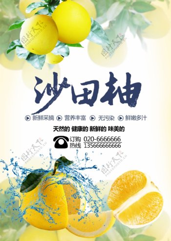 沙田柚子海报设计