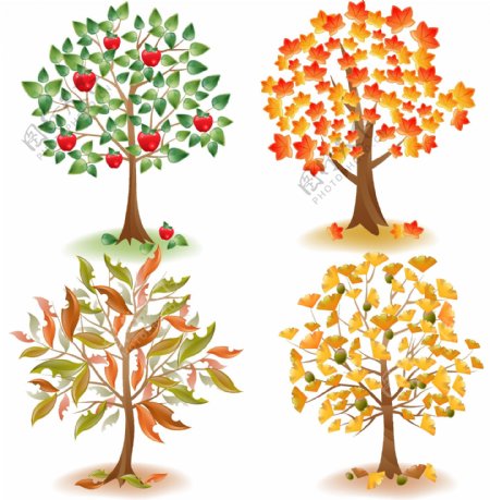 彩色叶子大树插画