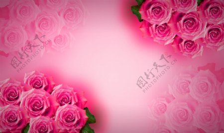 浪漫粉红玫瑰团花背景
