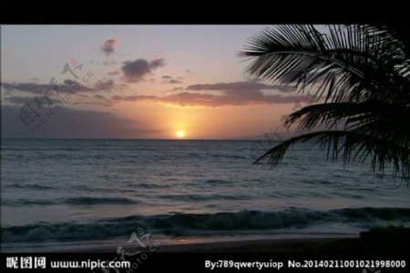 海岸夕阳风景画视频