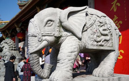 南普陀寺石雕大象