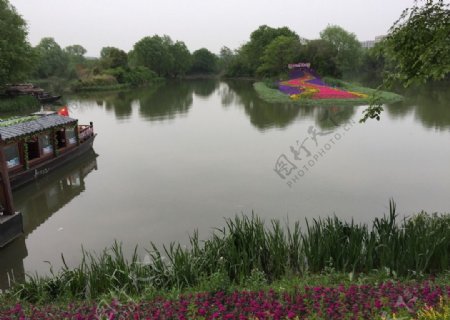 杭州西溪湿地花展风景