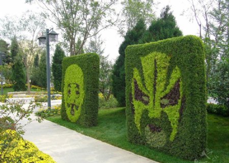 植物脸谱园林造型绿化花草