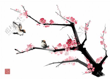 春季清新桃花鸟语花香