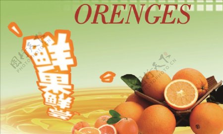 鲜果橙子宣传图