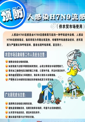 H7N9禽流感宣传海报