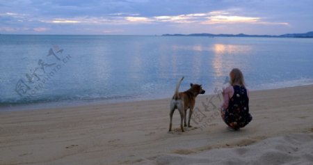 泰国苏梅岛日出美女和狗狗