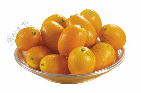 金桔小橘子
