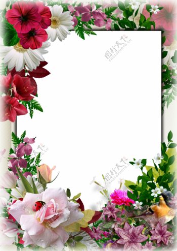 高清鲜花相框装饰框架