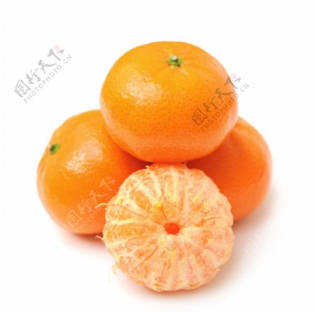 橘子大图绿叶小橘子橘子