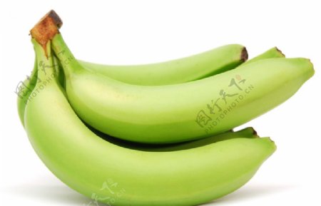 香蕉水果香蕉树生香蕉新