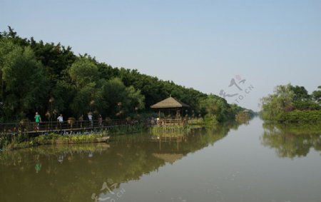广州南沙湿地公园