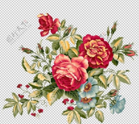 高清PSD透明背景手绘花卉玫瑰