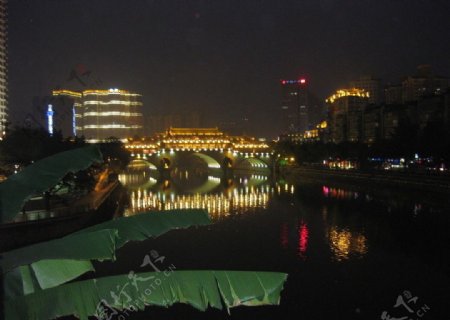 夜景桥倒影江水香蕉叶