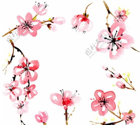 手绘水彩樱花花瓣插图