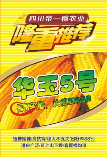 玉米种植海报