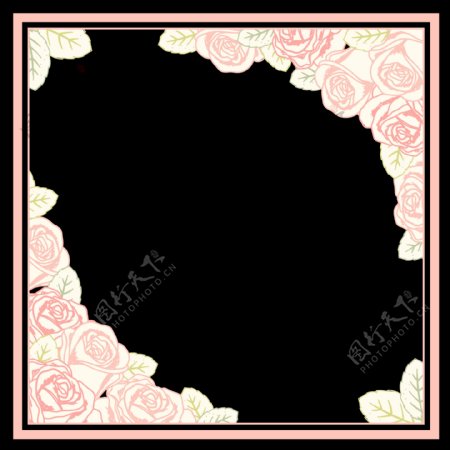 粉红玫瑰花卉边框免抠png透明图层素材