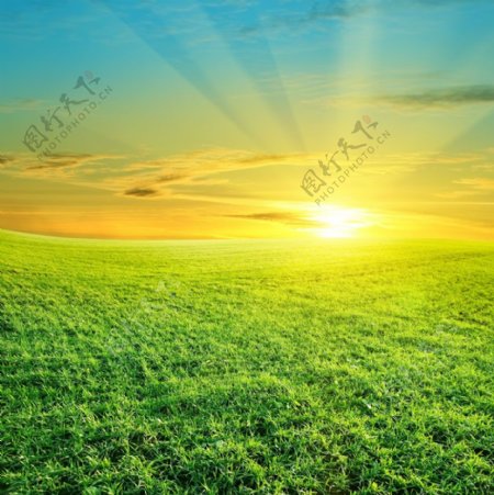 绿草地阳光风景图片图片