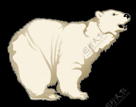 手绘卡通北极熊免抠png透明图层素材