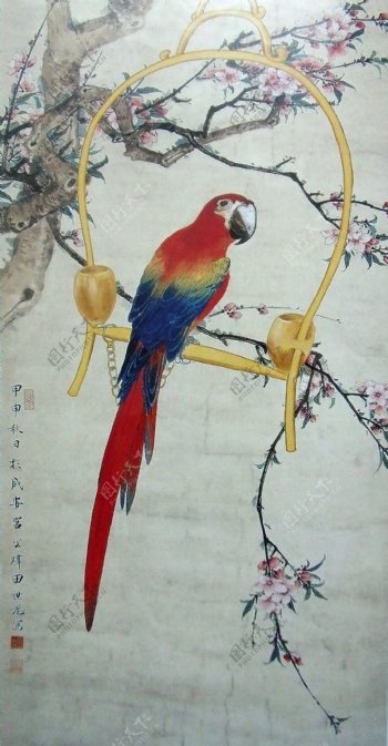 水墨桃花鹦鹉图片