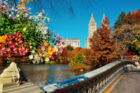 美丽秋天城市公园风景图片