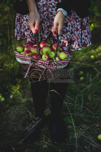 健康水果苹果篮子