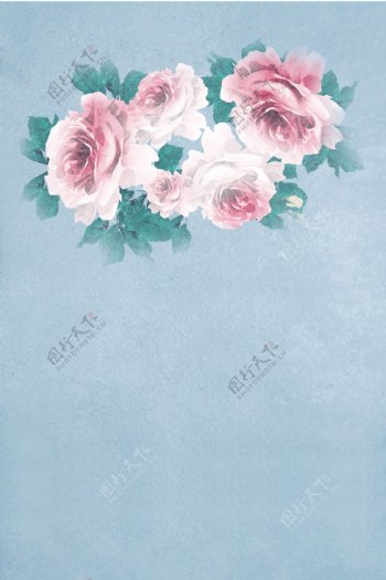 粉红色水粉花朵影楼摄影背景图片