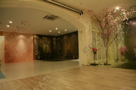 室内植物装饰摆设影楼摄影背景图片