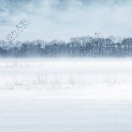 雾气茫茫的大草原影楼摄影背景图片