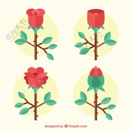四个漂亮的玫瑰平面设计素材