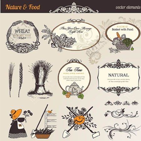 复古天然食品标签矢量素材图片