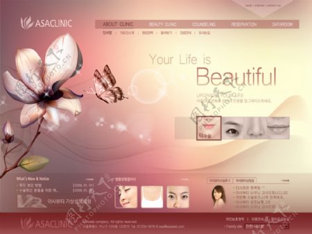 美容韩国网站模板图片