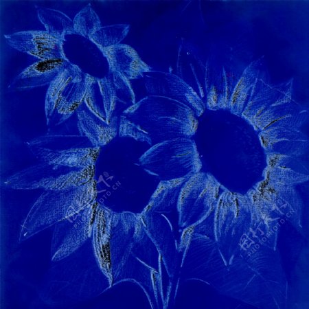 蓝色植物花朵油画图片