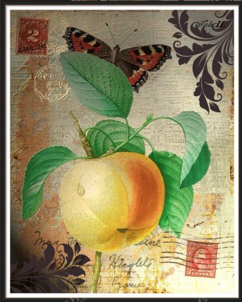 苹果与蝴蝶背景图片
