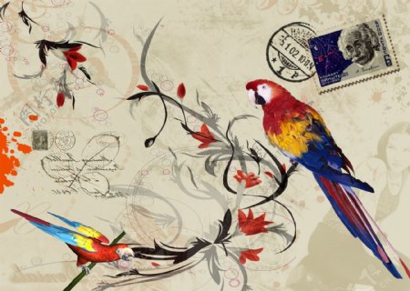 鹦鹉与邮票印章图片