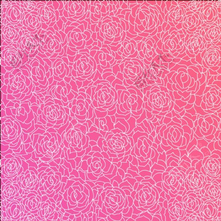 梦幻般的线描风格玫瑰粉红色背景