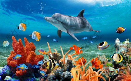 唯美海洋珊瑚礁海底世界海豚
