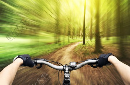 树林里的自行车