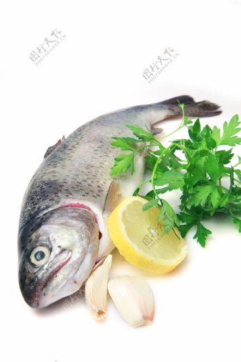 烹饪美食的鱼图片